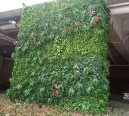 吉安酒店餐廳植物墻