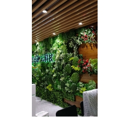 南昌仿生植物墻